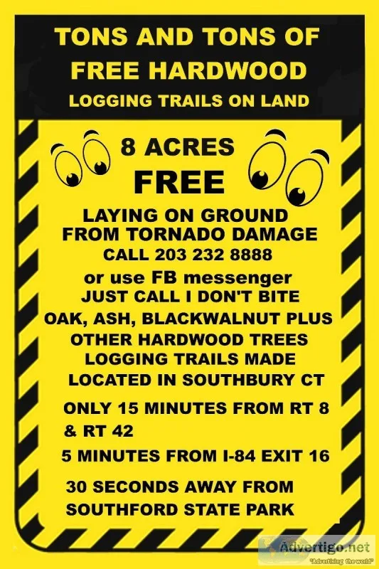 FREE HARDWOOD UNCUT 8 ACRES OF IT LAYING ON GROUND
