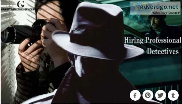 Crack the Case Easily and Get the Facts by Hiring Professional D