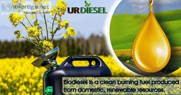 URGgroup biodiesel pump dealership in Rajasthan