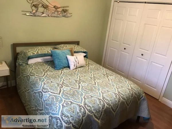 Roommate available rent