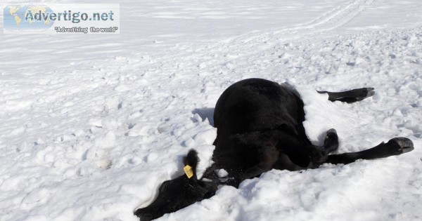 Prayers For South Dakota Farmers and Ranchers