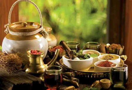 Ayurvedic Treatment Centre Kerala Kerala Ayurveda Rejuvenation P