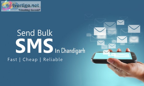 Best bulk SMS service provider in Chandigarh