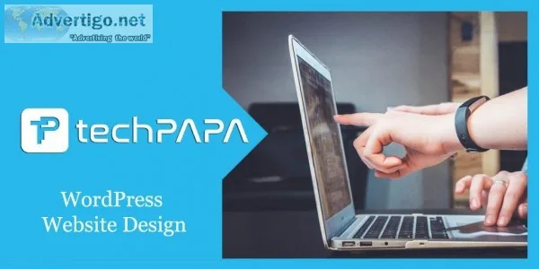 Website Designing Services Noida