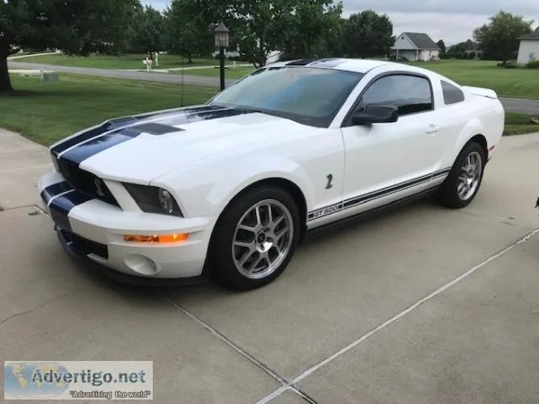 2008 Shelby Cobra GT500