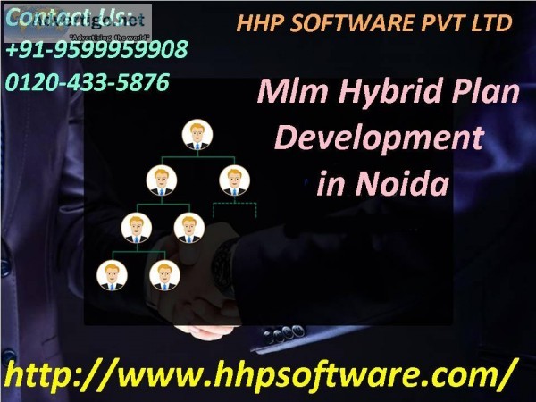 A company that provides Mlm Hybrid Plan Development in Noida 012