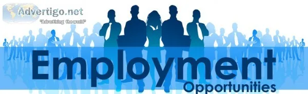 Employment Opportunity Now Open. Urgently Needed With Resume.