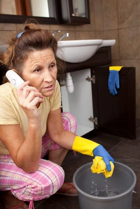 PROFESSIONALS IN PLUMBING ISSUES ETOBICOKE