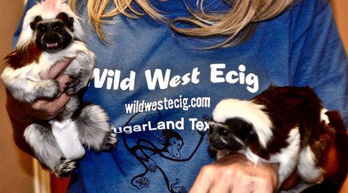Vape Shop Sugarland TX - Wild West E-Cig