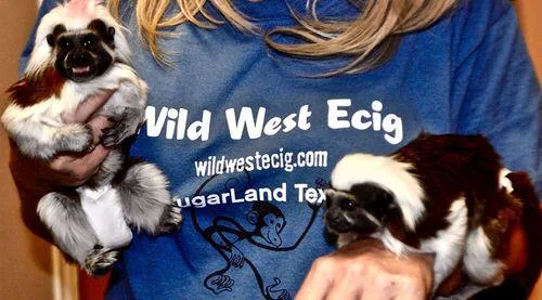 Vape Shop Sugarland TX - Wild West E-Cig