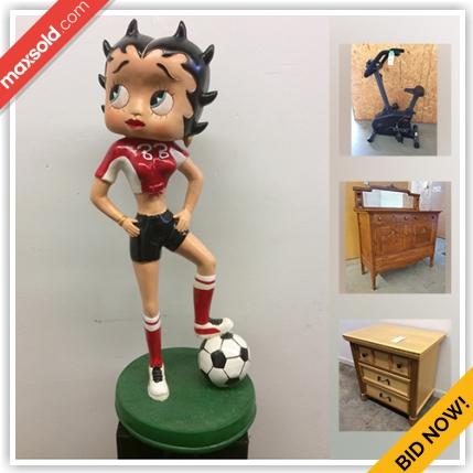North York Downsizing Online Auction - Tycos Drive (STORAGE)