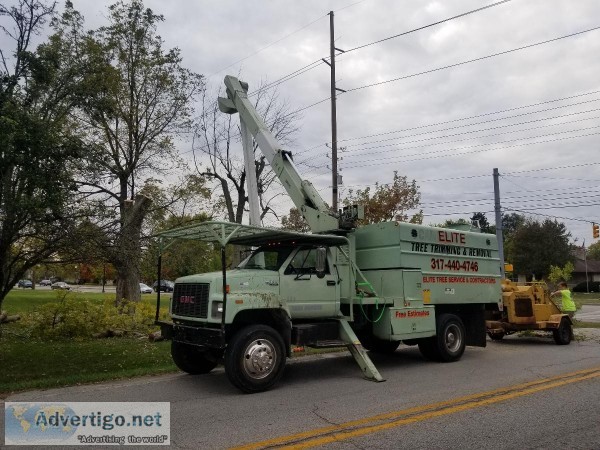 Tree Services
