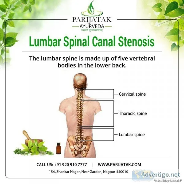 Spine Specialist in Nagpur  Back Pain Treatment in Nagpur  Neck 