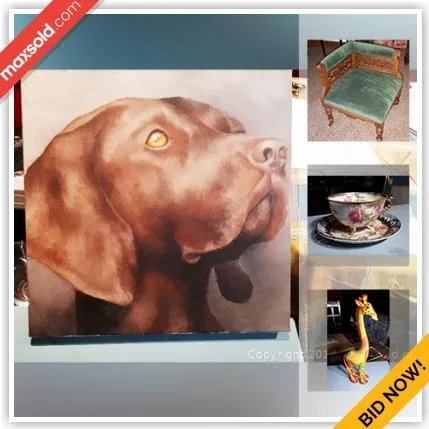 Selwyn Downsizing Online Auction - Fire Route 6