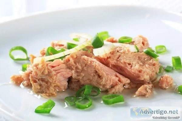 World Canned Tuna Market Research Report 2024 (Covering USA Euro