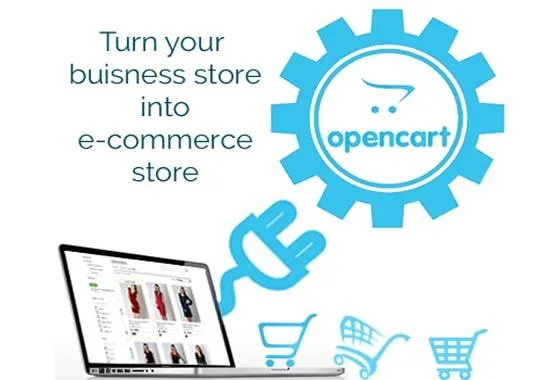 Avail Skilled OpenCart Developer At 18Hour