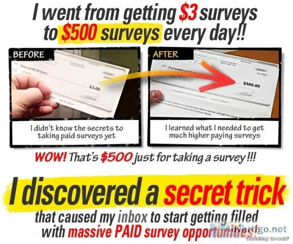 1 PAID SURVEY SITE