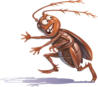 pest control delhi