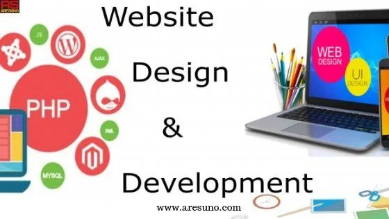 Website Designer and Developer
