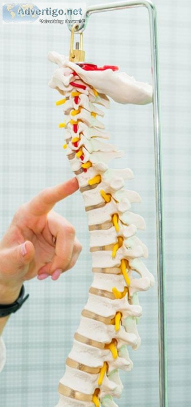 Best Chiropractors in Coral Springs FL