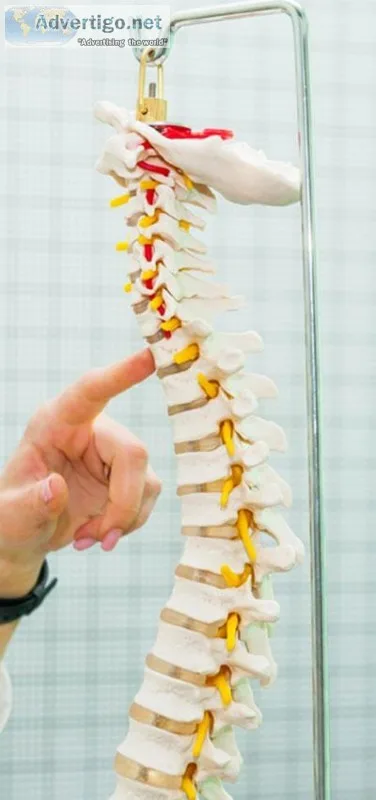 Best Chiropractors in Coral Springs FL