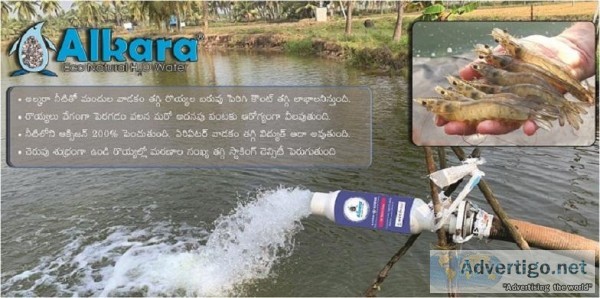 Aqua Hatcheries Water Softener Suppliers in Hyderabad