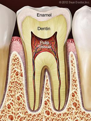 Waterloo Endodontics  Eastbridge Dental Care