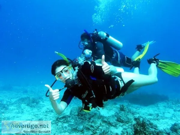 SCUBA DIVING IN MALVAN