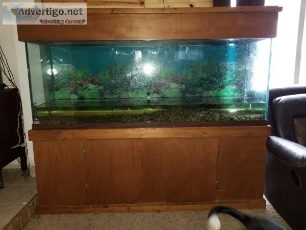 150 gallon aquarium