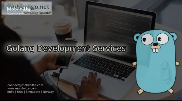 Golang Development Services
