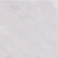 Arabescato Carrara 12X12 Honed