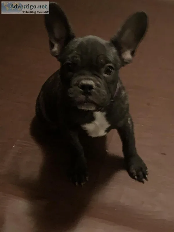 WALTER
