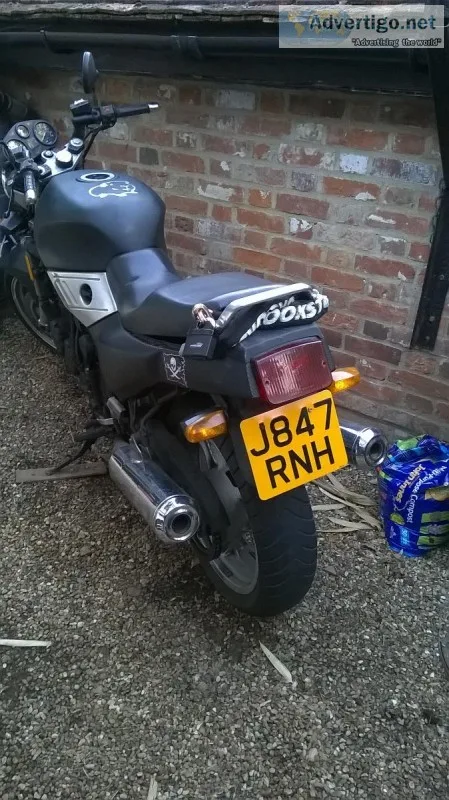triumph for sale