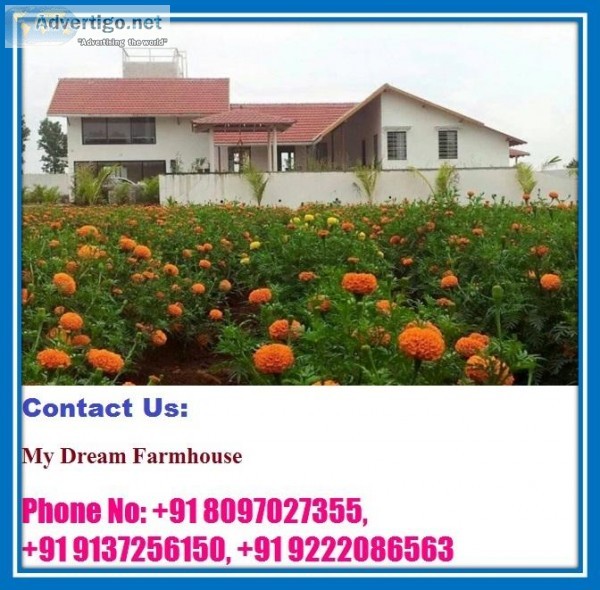 Land Options- we get options from selected location