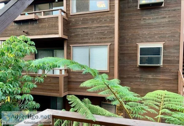 A Paradise in the trees BRAND NEW Remodel