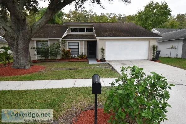 8938 Bayaud Dr Tampa FL