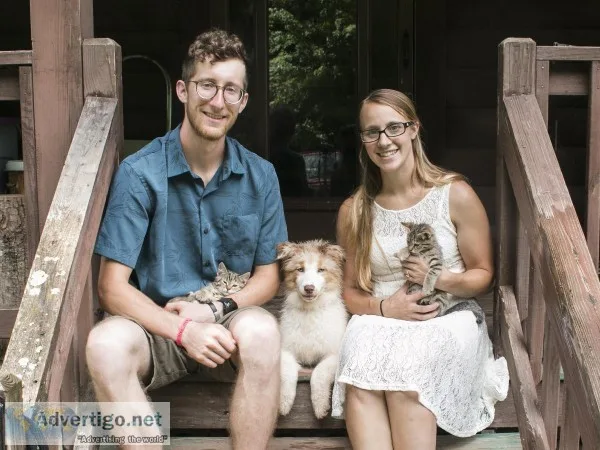 Young married couple with pets looking to rent
