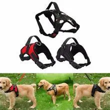 Dog Walking Harness
