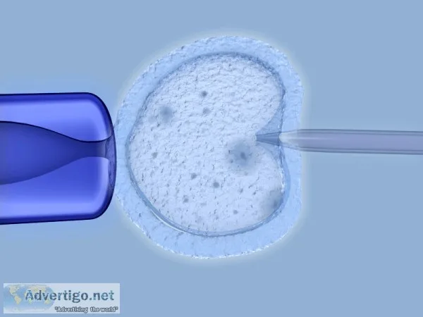 Egg Retrieval - RSMC Is the Best Place to Have It