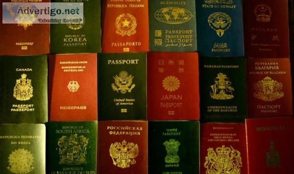 NYC FOREIGN PASSPORT RUSH APOSTILLE SERVICES (917-273-4067)