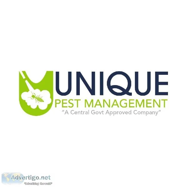 Rat control services in Chennai