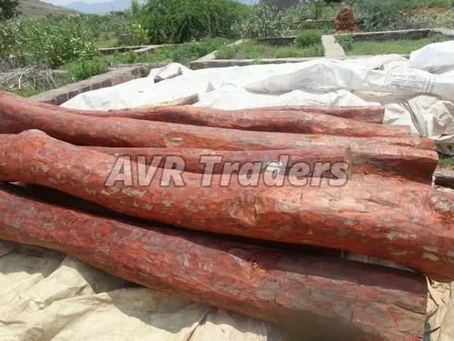 Red Sandalwood Logs Wholesale Suppliers