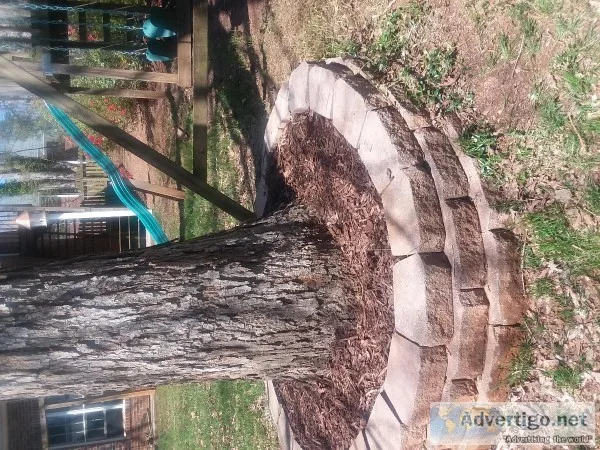 Leave clean up gutters cleaned out  odd jobs