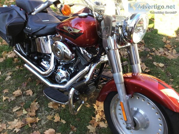 A Real Nice 2008 Harley Davidson Fatboy