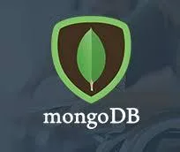 MongoDB Training in Delhi