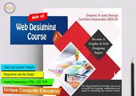 website designing institute in rani bagh
