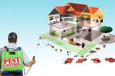 Safe and Effective Mosquito Control