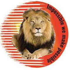 Lion Packers And Movers