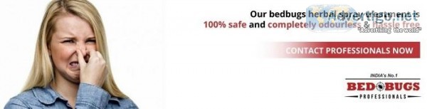 Bed bug treatment services at low charges