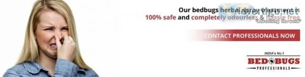 Bed bug treatment services at low charges